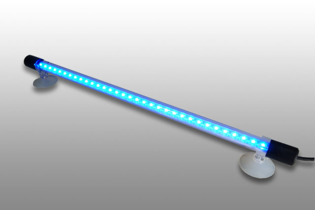 MAVI マヴィ ブルー | LEDランプ・水槽照明の製造販売 株式会社 